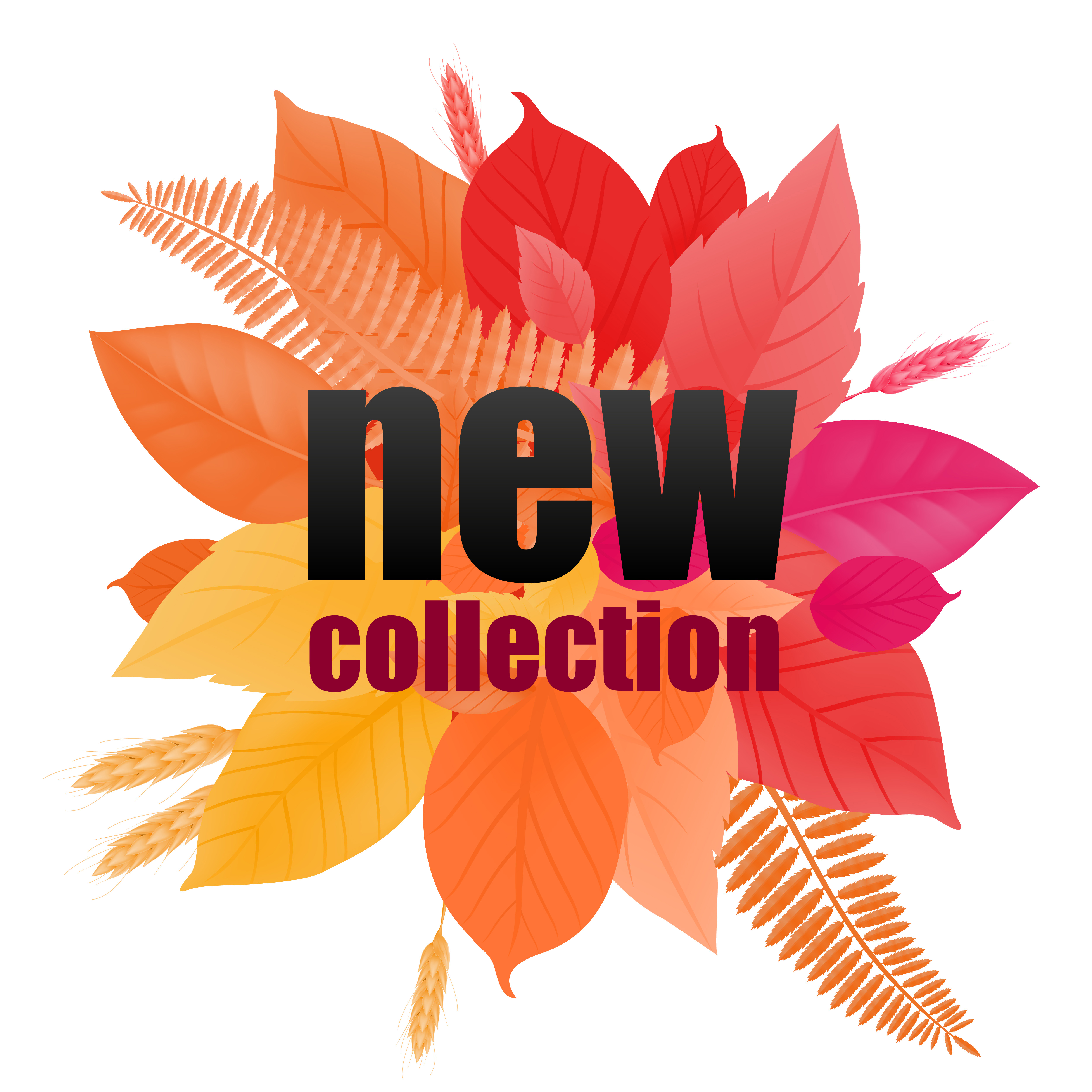 New Collection